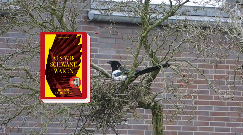 Lesegruppe “Deutsche Literatur lesen”