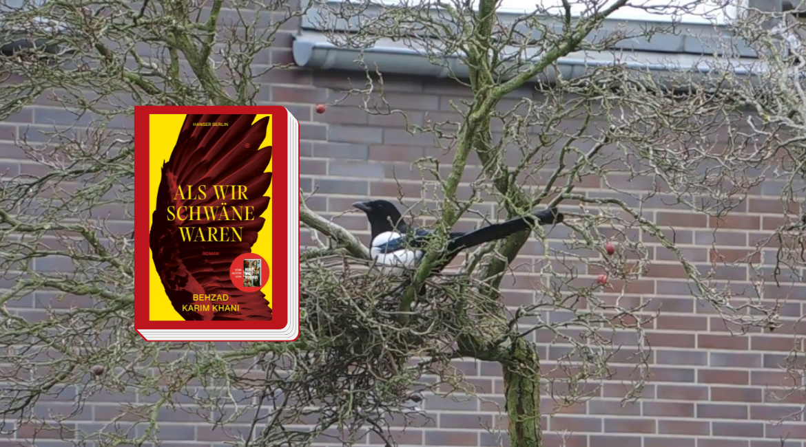 La copertina del libro "Als wir Schwäne waren" di Behzad Karim Khani è bordata di rosso. Sullo sfondo si vede la foto del nido di una gazza ladra su un albero spoglio.