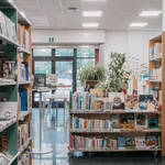 Biblioteca Europa scaffali