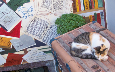 Nella foto si vede un gatto addormentato su una panca. Dietro si vede un murales a tema libri. L'atmosfera è estiva e rilassata.