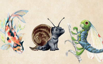 Nell'immagine si vedono tre creature fantastiche disegnate da Eleonora Pace: un gatto-carpa, un ippopotamo-lumaca e un coniglio-libellula.