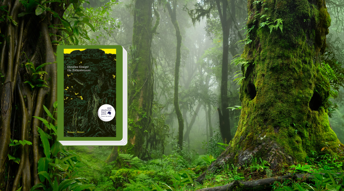 La copertina del libro Die Holländerinnen di Dorothee Elmiger è bordata di verde e si staglia sulla foto di una foresta pluviale.