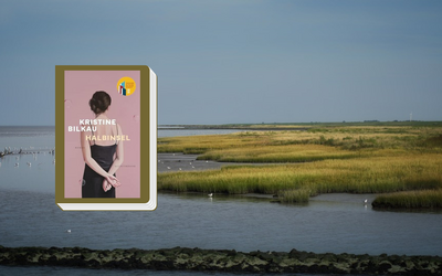 Nell'immagine si vede la copertina del libro "Halbinsel" di Kristine Bilkau bordato di verde. Sullo sfondo una foto del Mare dei Wadden.