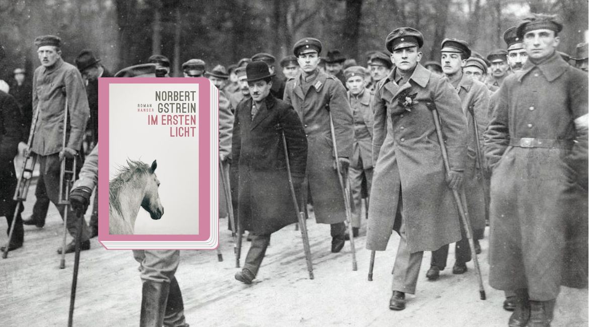 Nell'immagine si vede la copertina del libro "Im ersten Licht" di Norbert Gstrein bordata di color rosa antico. Sullo sfondo una foto di reduci della prima guerra mondiale in biancoe e nero.