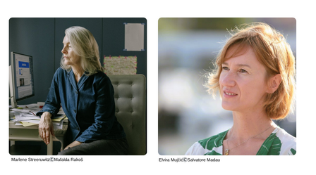 Immagine: Immagini per nuovo sito web - copertine - 2026-03-31T084431.598