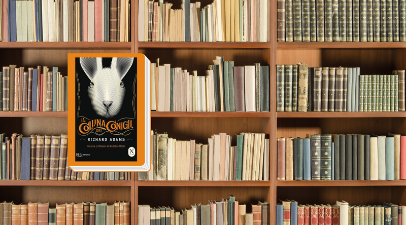 Incontrarsi in un libro