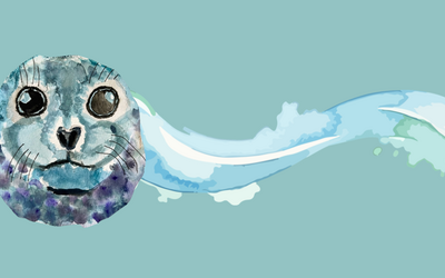 Nell'immagine si vede un'illustrazione di Eleonora Pace, che rappresenta una foca. Lo sfondo è azzurro con onde del mare.