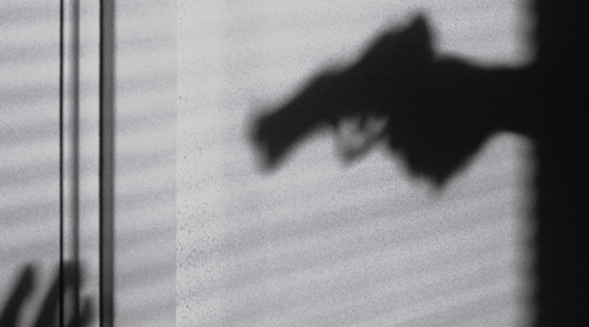 Immagine: Noir