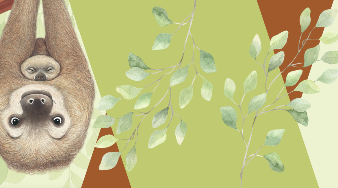 Nell'immagine si vede un'illustrazione di Eleonora Pace, che rappresenta un bradipo con il suo piccolo. Lo sfondo è verde e marrone a figure geometriche e motivi vegetali.