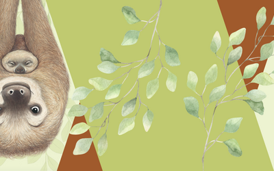 Nell'immagine si vede un'illustrazione di Eleonora Pace, che rappresenta un bradipo con il suo piccolo. Lo sfondo è verde e marrone a figure geometriche e motivi vegetali.